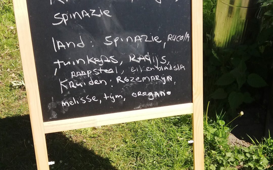 Groenten en kruiden te koop