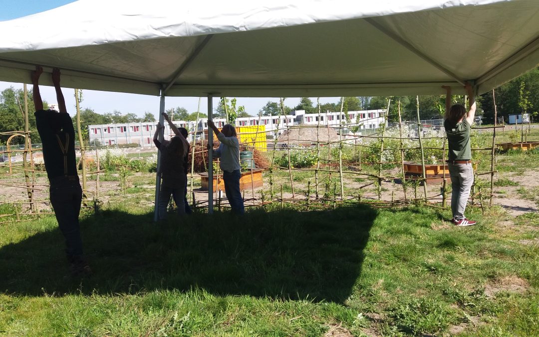 Tent opzetten
