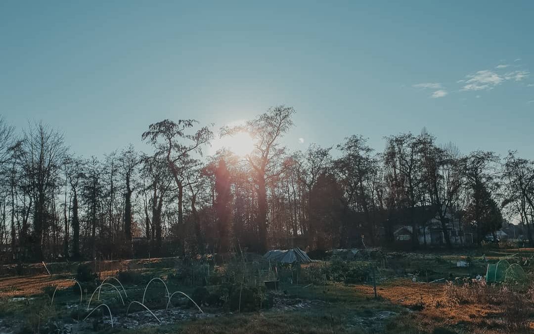 Ecoring (ecoproject)