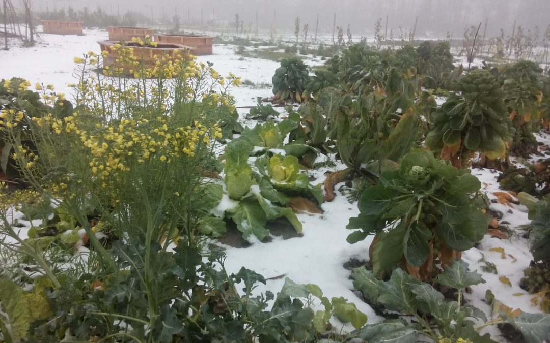 Winter op Tennispad