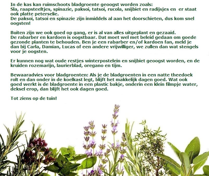 Oogst update mei 2023