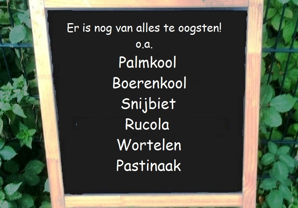 Heb je een oogstaandeel?