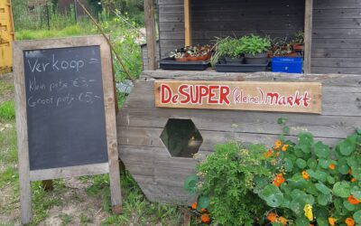 “De SUPER (kleine) markt”